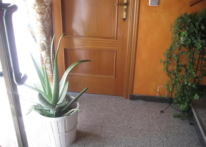 El Pinar