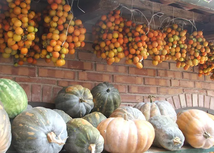 Agriturismo i Moresani