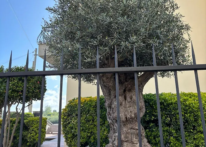 Villa Manzo relais -Pompei Vesuvius
