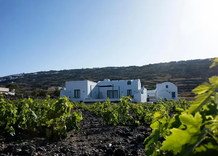 Vinebranch Villa