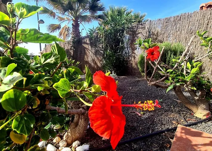 Green Ocean House - Origo Mare