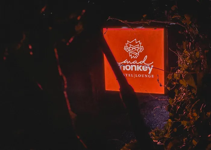 Mad Monkey And Lounge