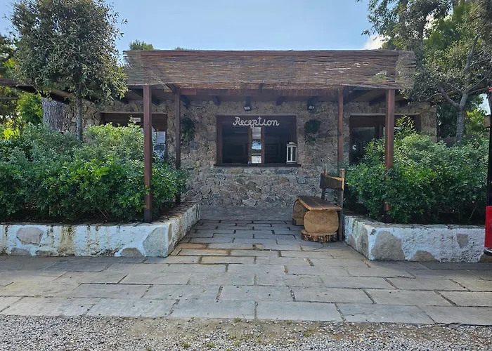 Hotel vicino al College: Giannella Camping