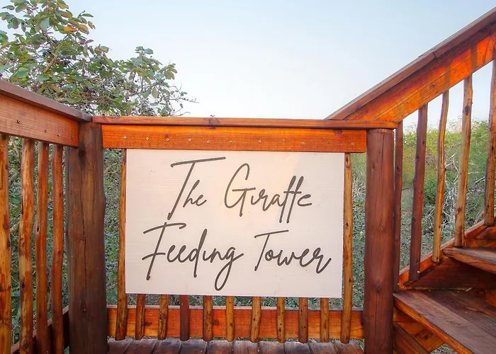 The Suite Luxury Safari Villa, Close To Knp, Starbed, Giraffe-Feeding-Tower, Bush-Bath