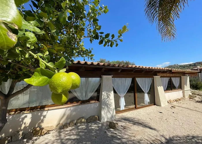 Villa Corbera Palmaris