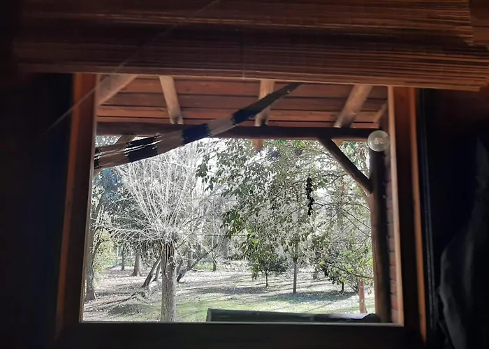 AlRío Quietud En Movimiento