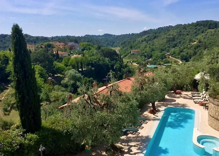 Verdoliva