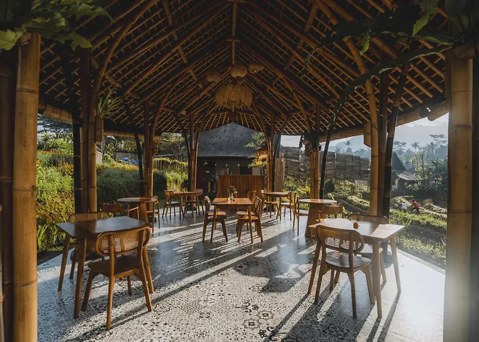 Nivriti Bali
