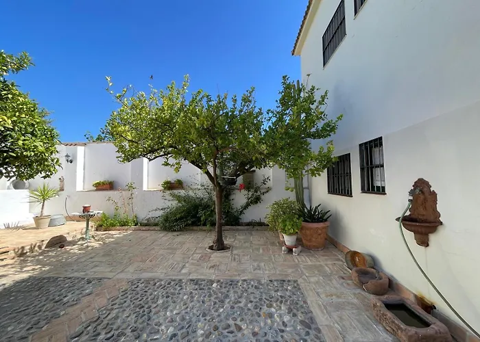 Finca Olivo Llorón
