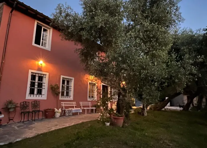 Podere Il Piantoneto