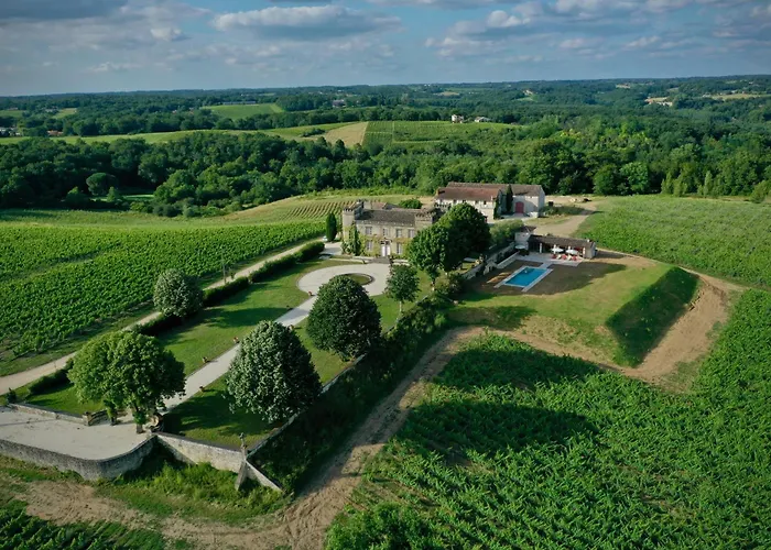 Château 14e siècle vue panoramique sur les vignes