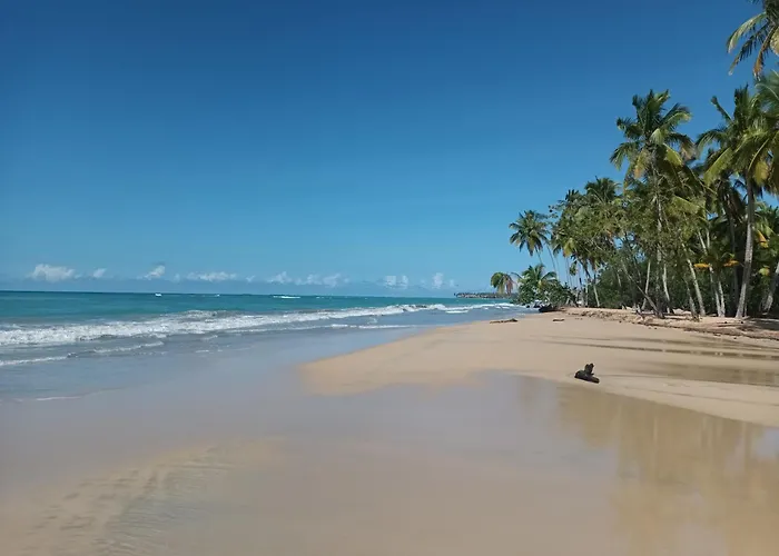 Hotel céntrico: Casa Shambala B&B