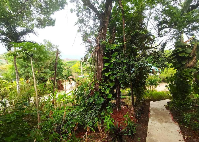 Maya Mountain Lodge