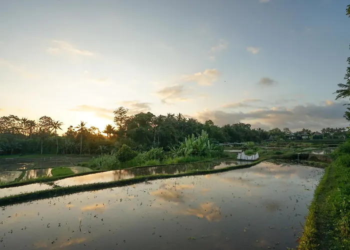 Kid friendly hotel Ubud Art Resort