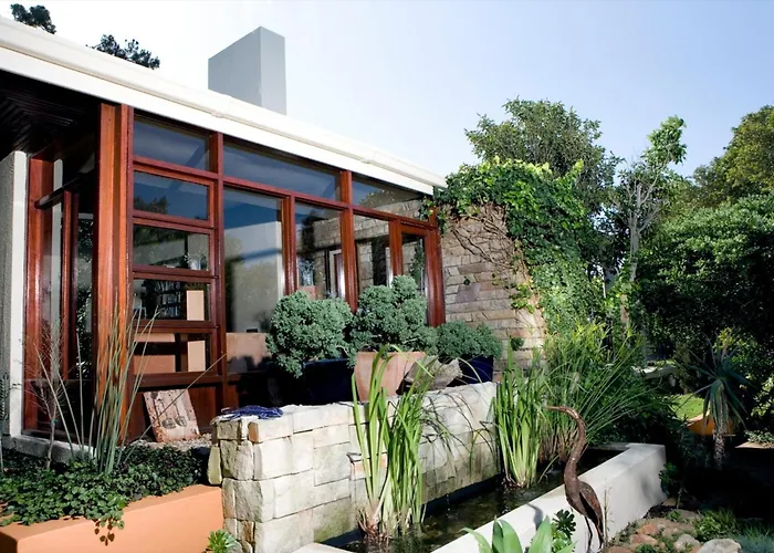 Lézard Bleu Guest House