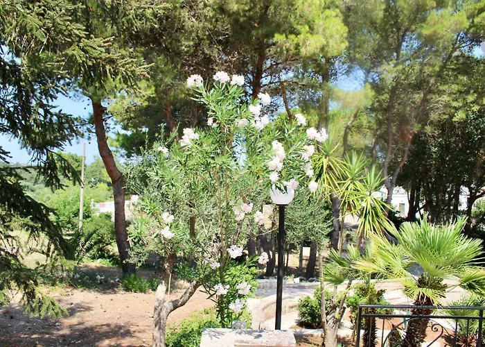 Villa Rai