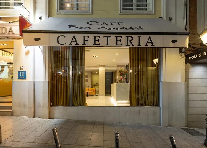 Hôtel: Hotel Avenida Gran Via