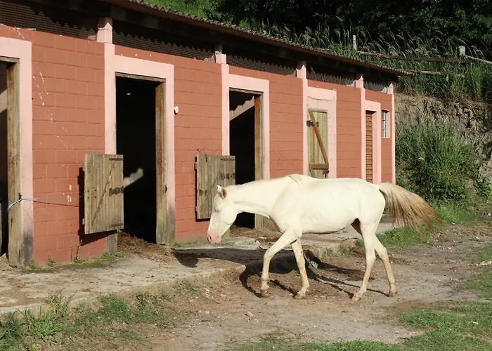 Big Valley Hotel Fazenda