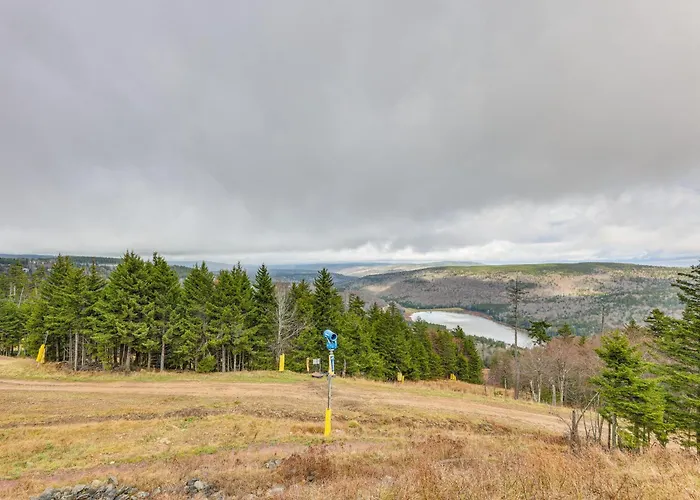 Snowshoe Condo W/ Mtn Views, Walk To Ski Lift