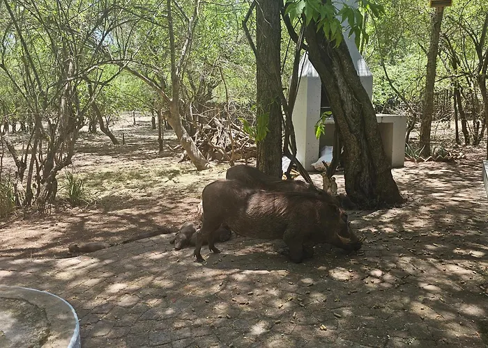 Kruger Amani Bush Retreat