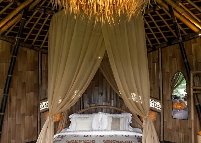 Nivriti Bali