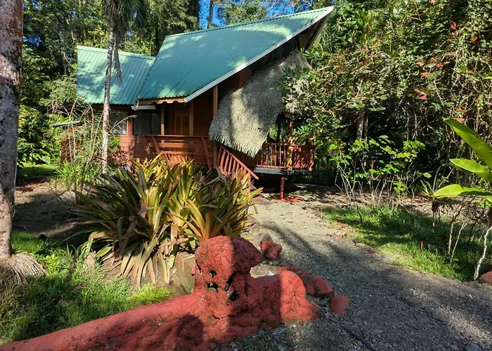 Tree House Beachfront Lodge