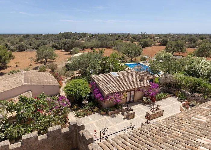 Haustierfreundliches Hotel: Finca Son Marimon - Adults Only