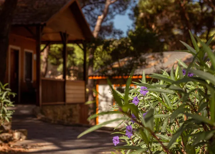 Hotel de playa: TAIGA Puerto Santa María