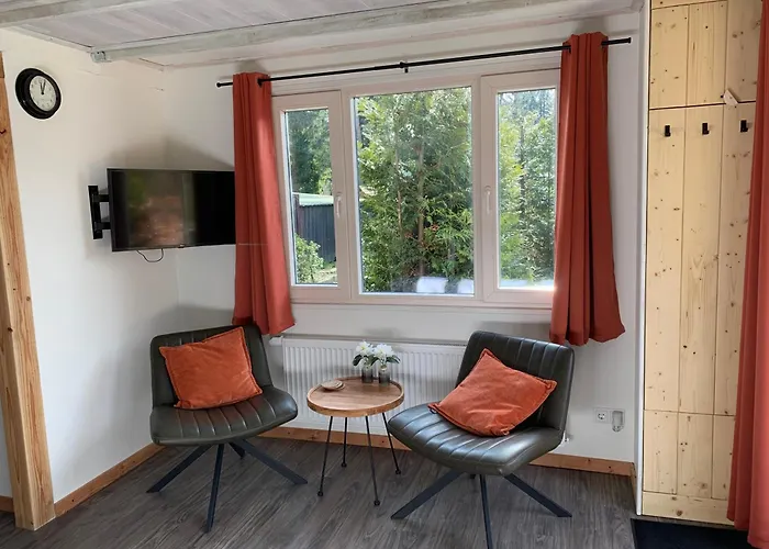 Veluwse Bos En Heide
