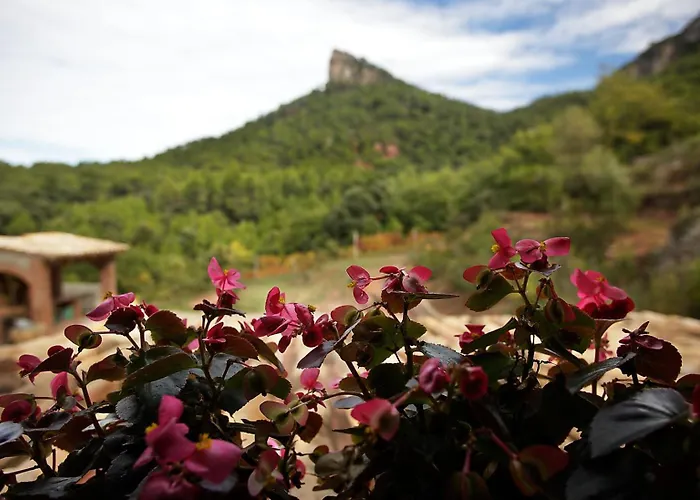 Foina Dels Fontanals