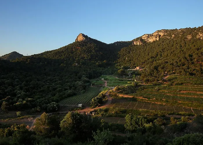 Foina Dels Fontanals