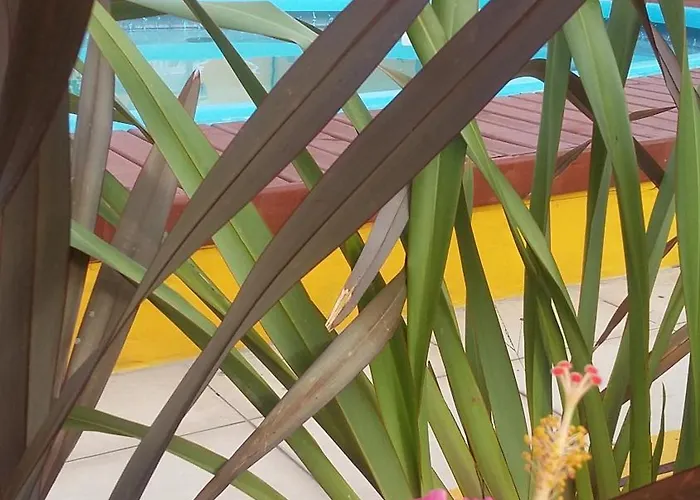 Casa Pousada Rosa dos Ventos