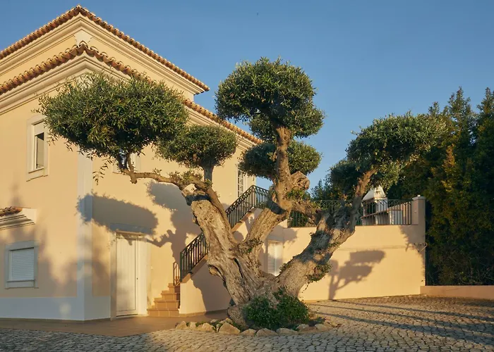 Vila: Villa Monte Das Oliveiras With Private Pool