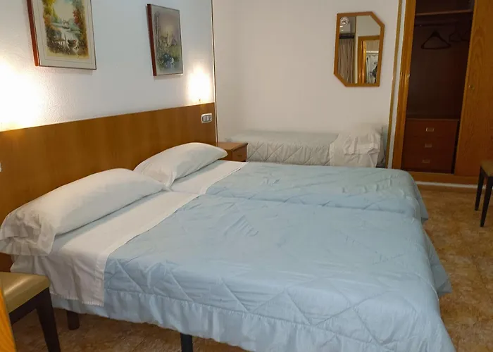 Perros hoteles Gran Via Levante