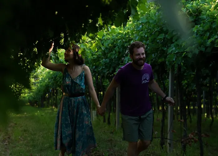 Agriturismo Ai Dossi