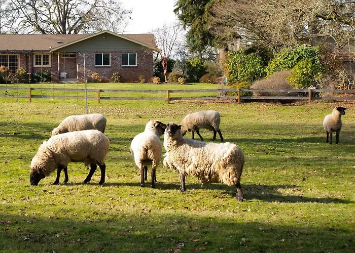 Four Wheels Farm