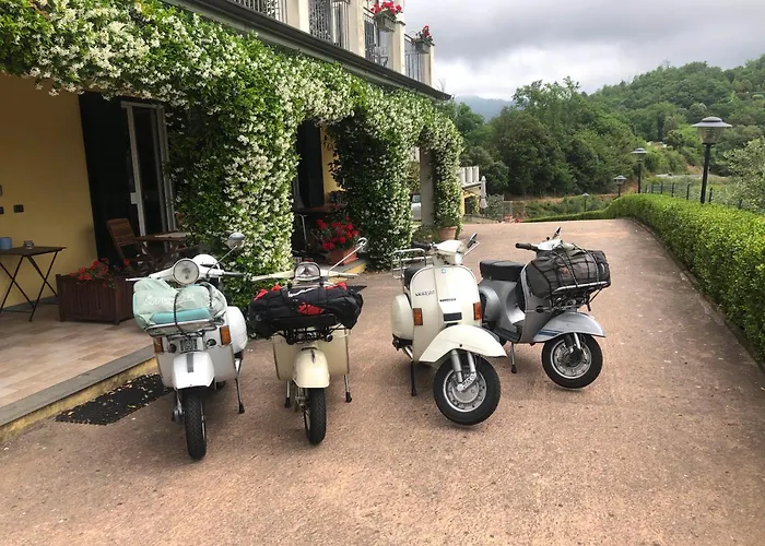 Gli Ulivi Di Montalbano