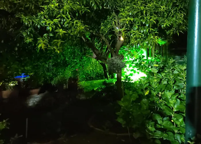 Villa dei fiori B&B