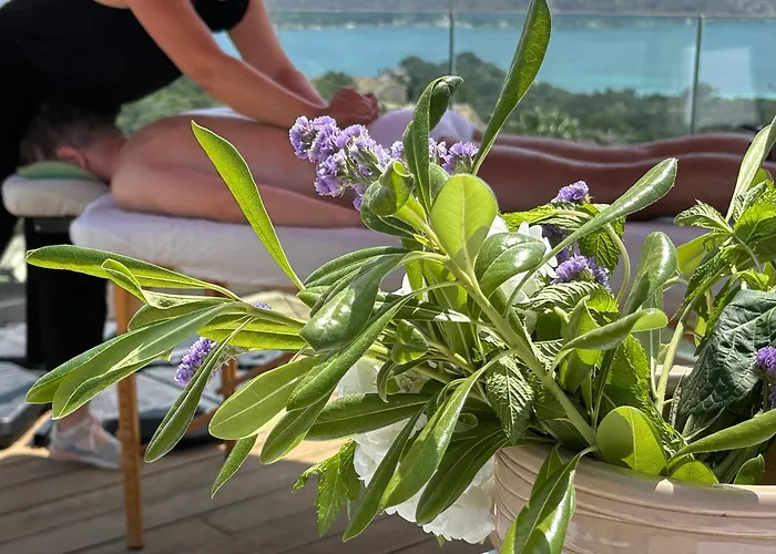 Haustierfreundliches Hotel: Hotel Carre Noir