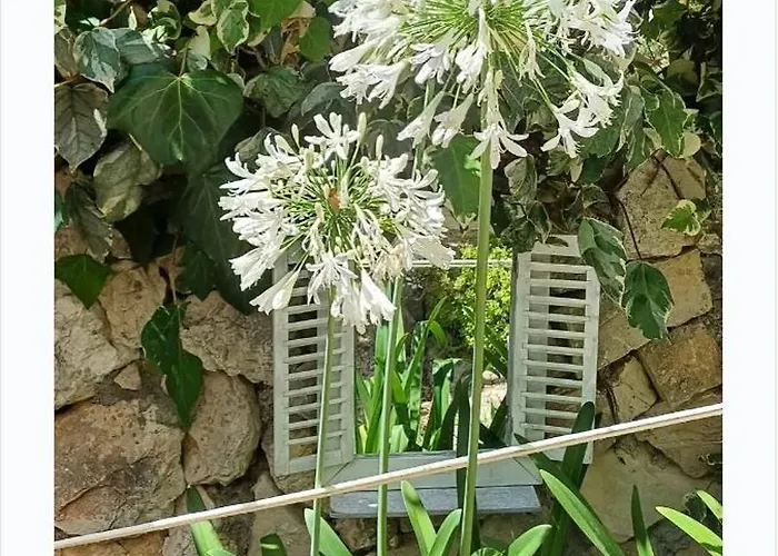 Villa Ana