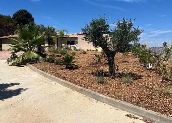 Villa de Luxe avec Piscine à débordement chauffée à Porticcio