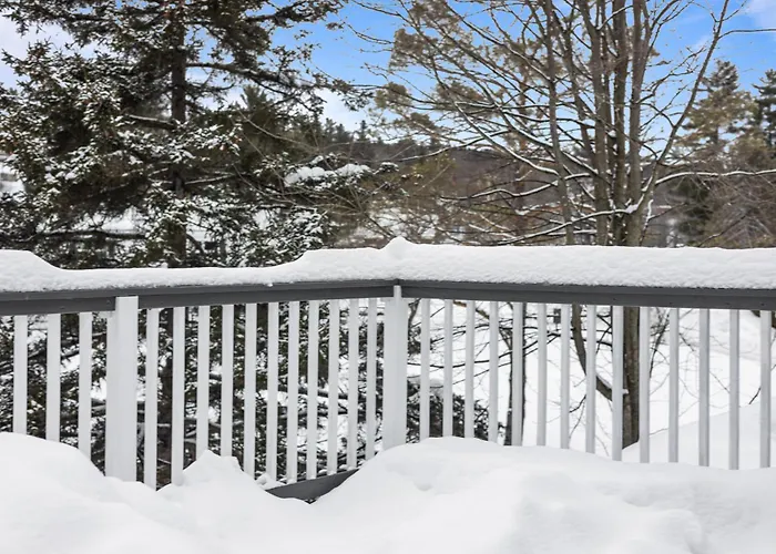 Stowe & Snowdrift