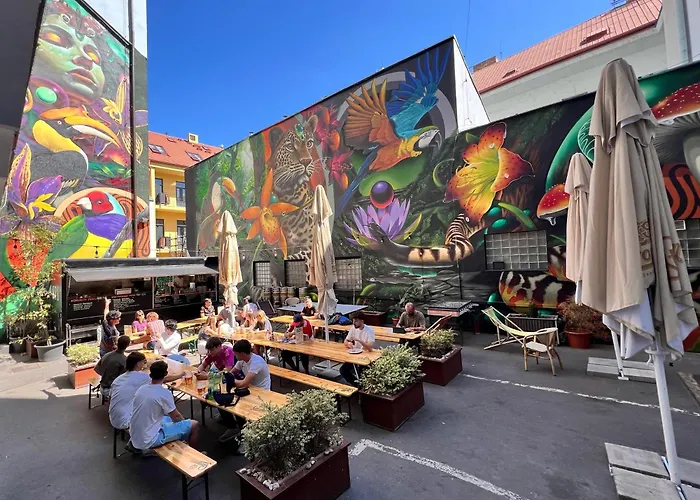 Herberge: Drunken Monkey Hostel