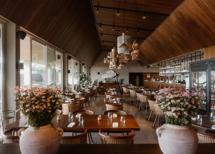 Immerso , A Member Of Design s