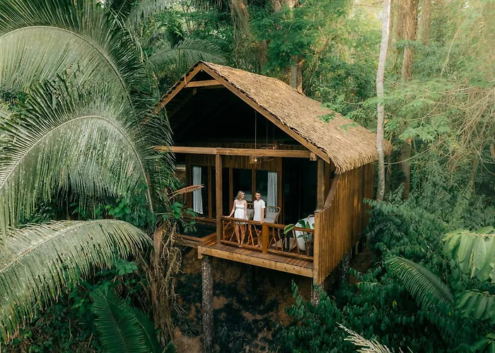 Sweet Songs Jungle