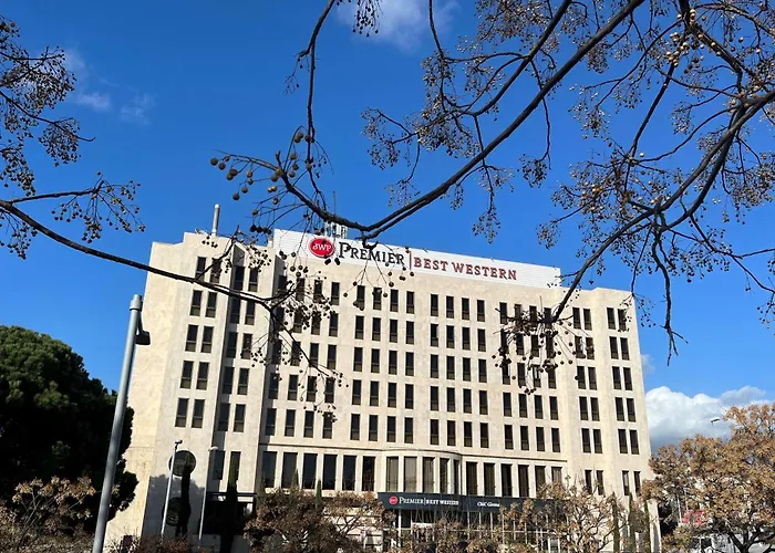 Hôtel accueillant les animaux: Best Western Premier CMC Girona