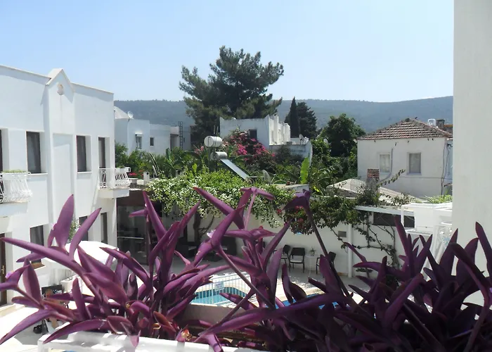 3-Sterne-Hotel: Asmin Hotel Bodrum