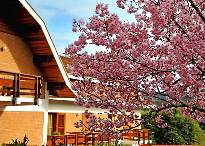 Resort: Hotel Matsubara