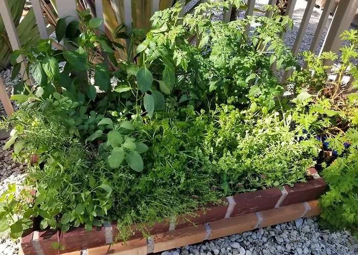 Pet Friendly hotel: The Ringling Beach House