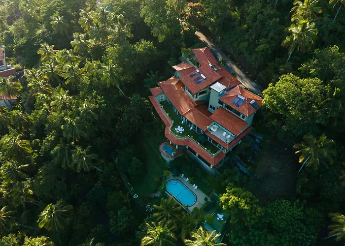 The Albatross, Kandy